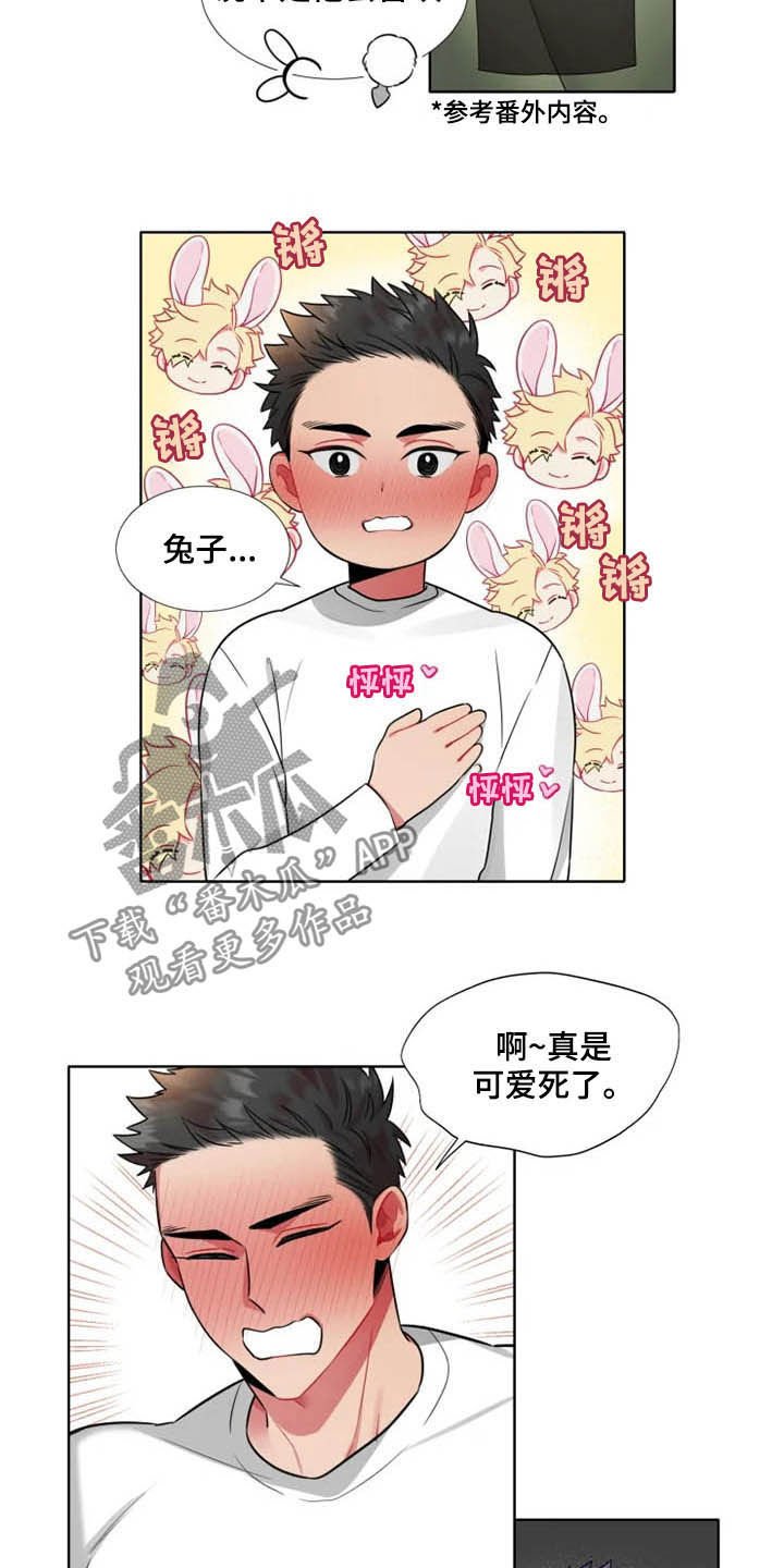 第39章：【第二季】喜欢兔子