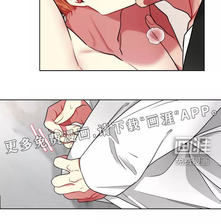 第58章：【第二季】纯洁的小熊