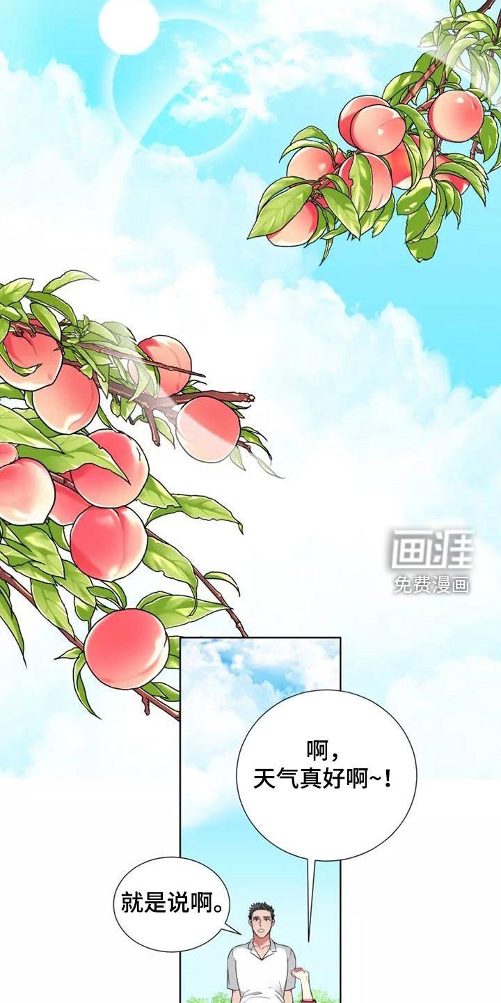 第66章：【第二季】完蛋了