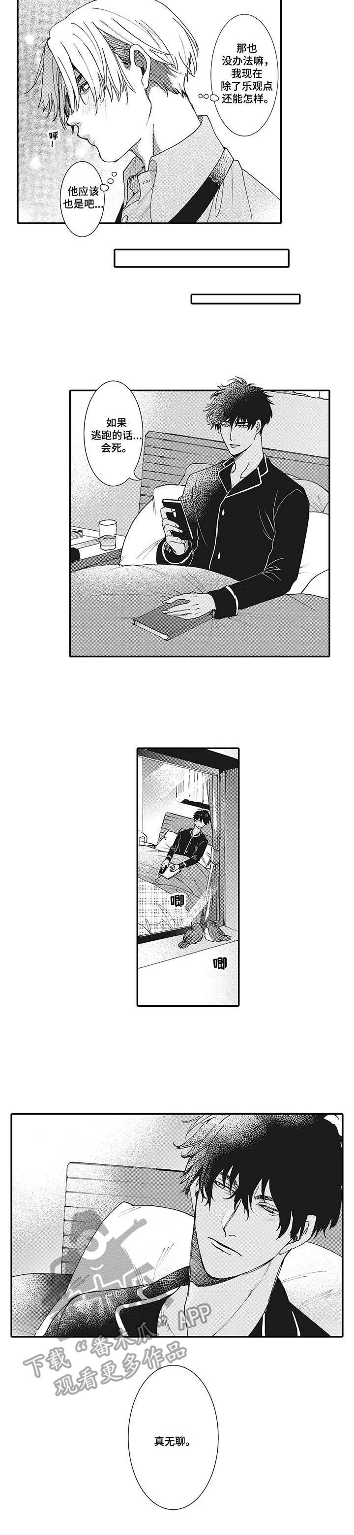 第7章：适应
