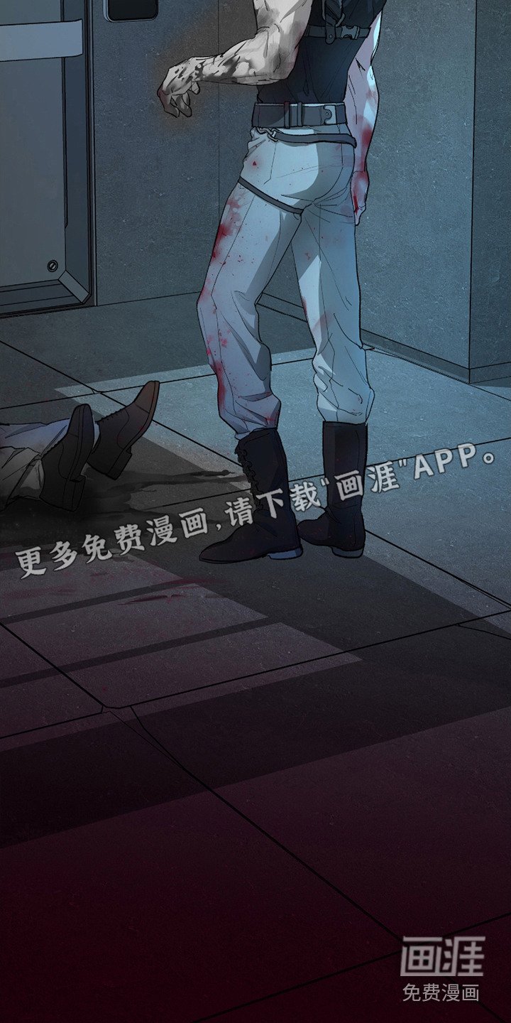 第12章： 逐渐适应