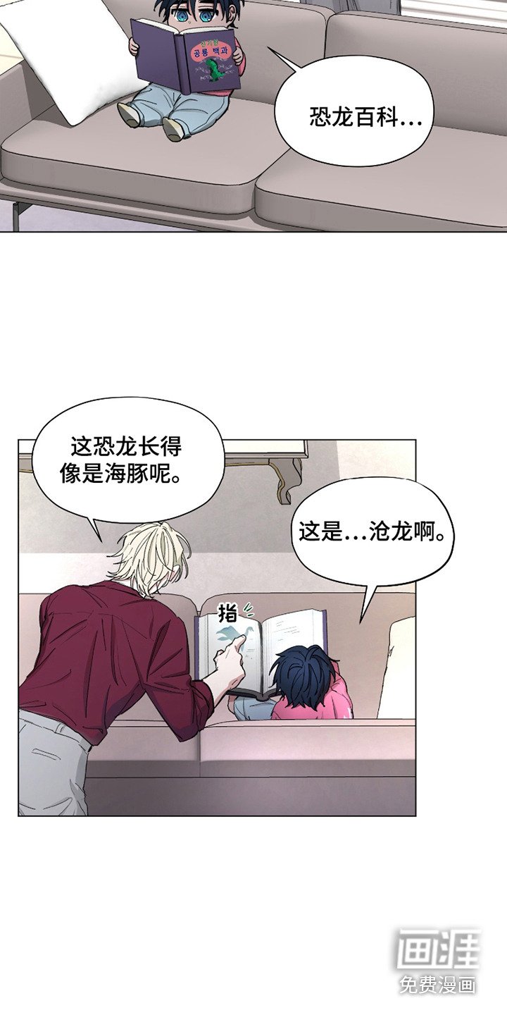 第13章：精力充沛