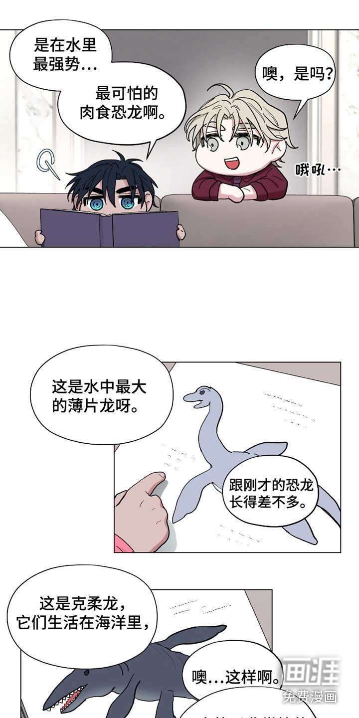 第13章：精力充沛