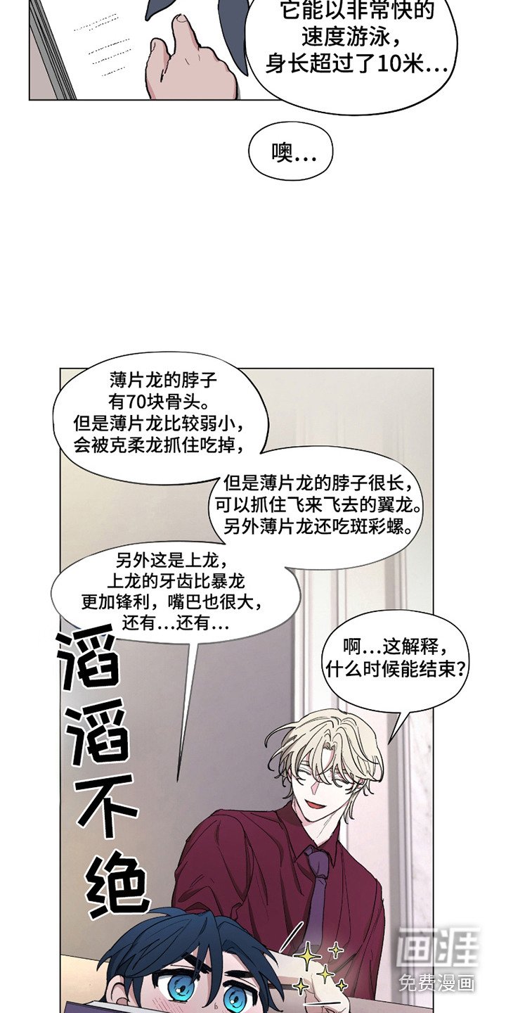 第13章：精力充沛