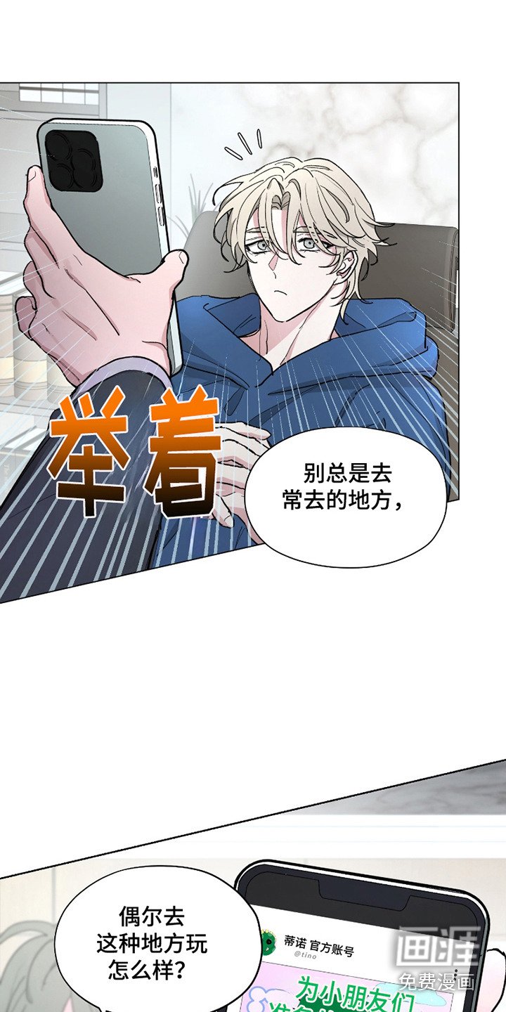 第13章：精力充沛