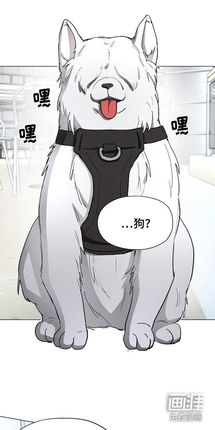 第14章：违和感