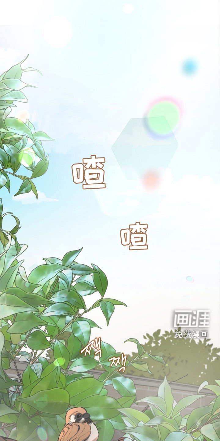第30章：总有一天