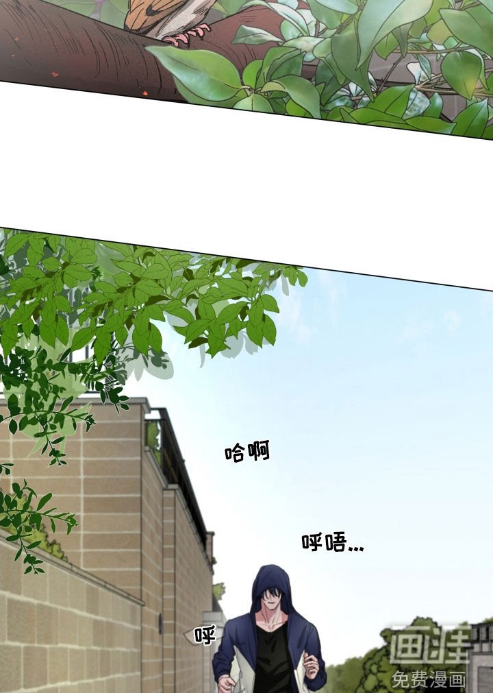 第30章：总有一天