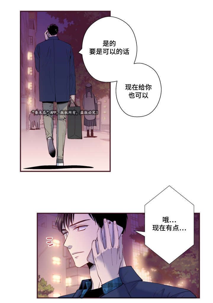 第27章：照片