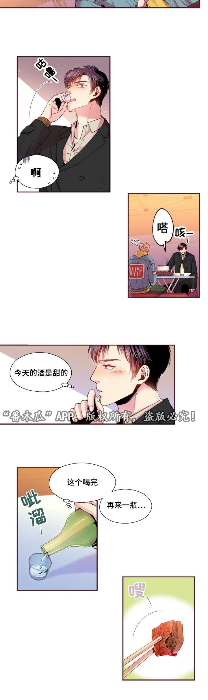 第40章：替代品