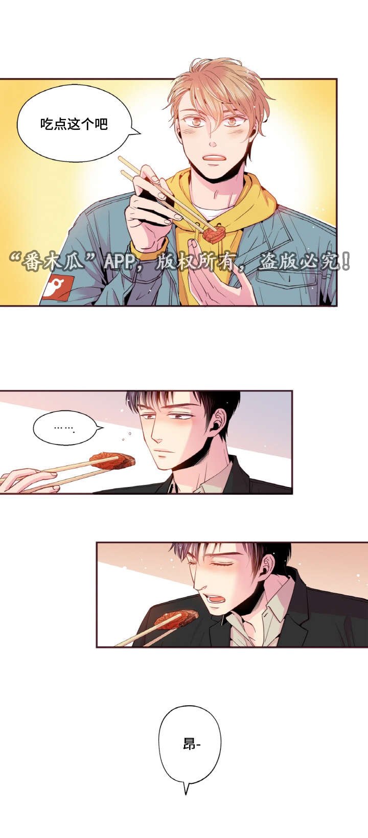 第40章：替代品