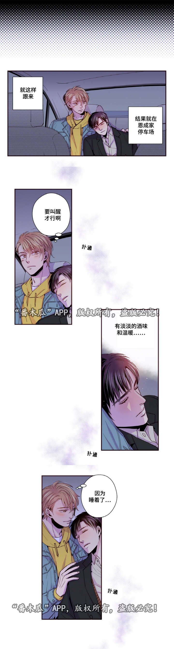 第40章：替代品