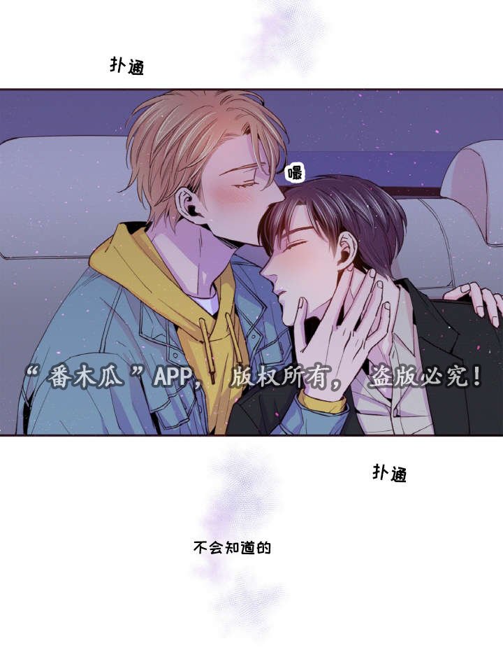 第40章：替代品