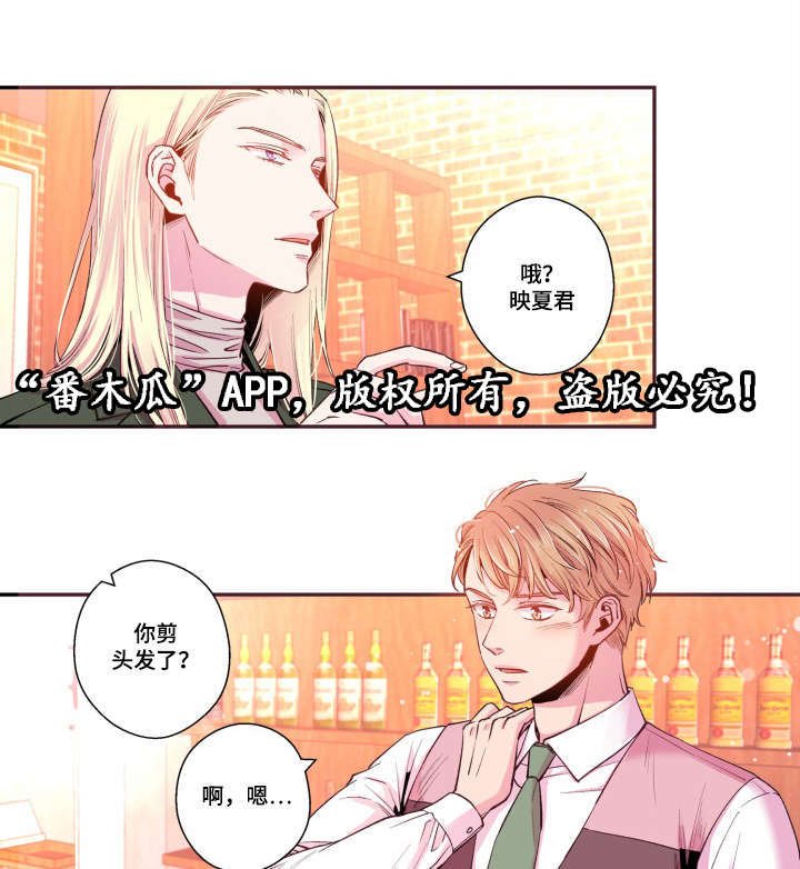 第45章：有点好奇