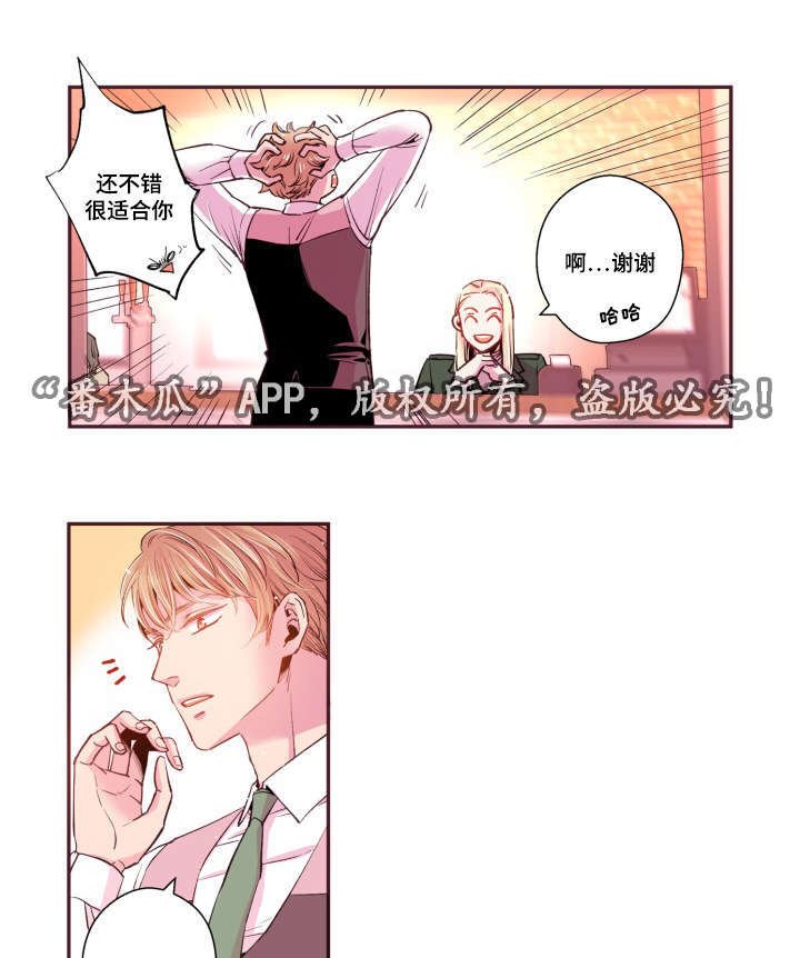 第45章：有点好奇
