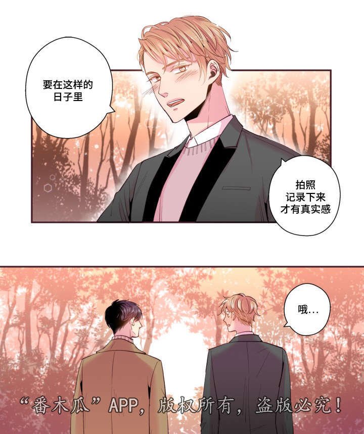 第47章：喜欢的人