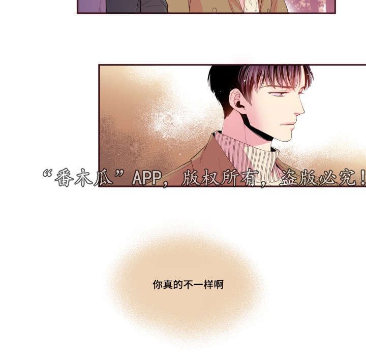 第47章：喜欢的人