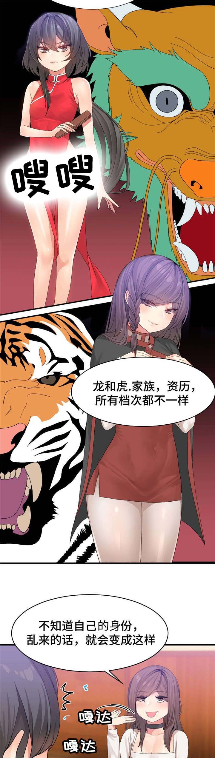 第22章：等级