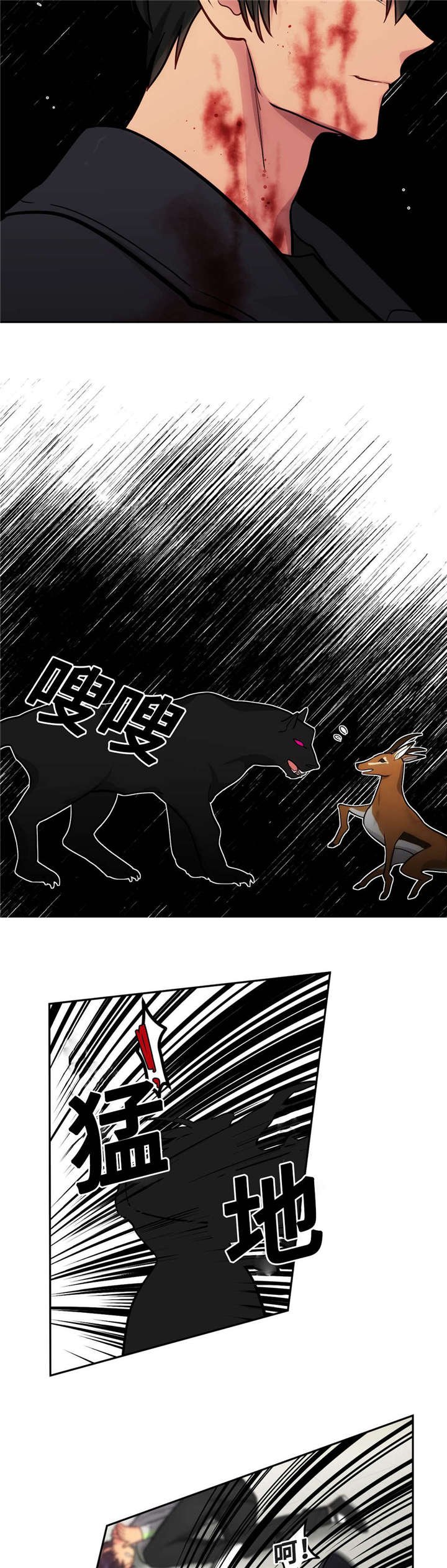 第47章：跟做梦一样