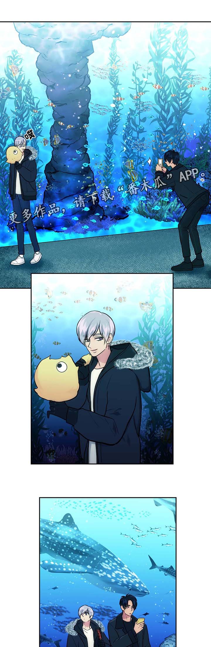 第52章：水族馆约会