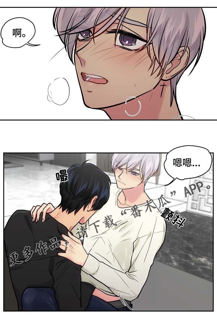 第53章：情侣戒指