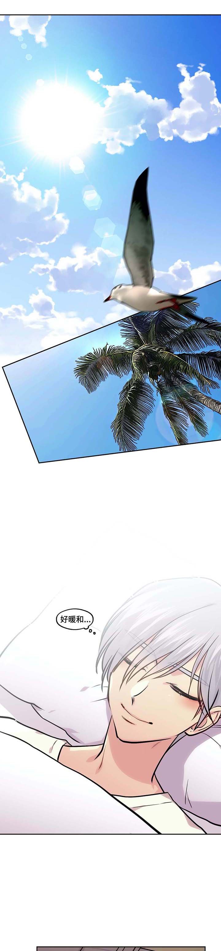第73章：南部小岛