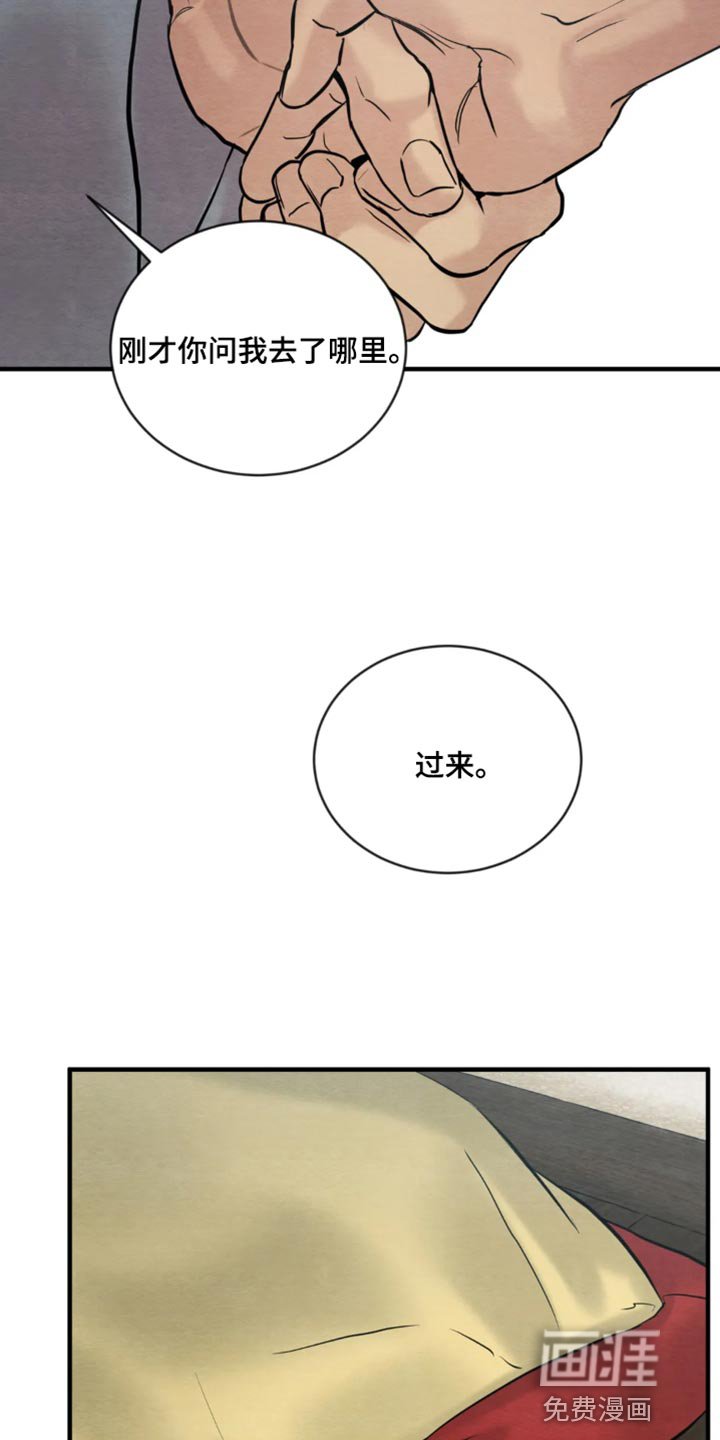 第178章：【第四季】福寿草