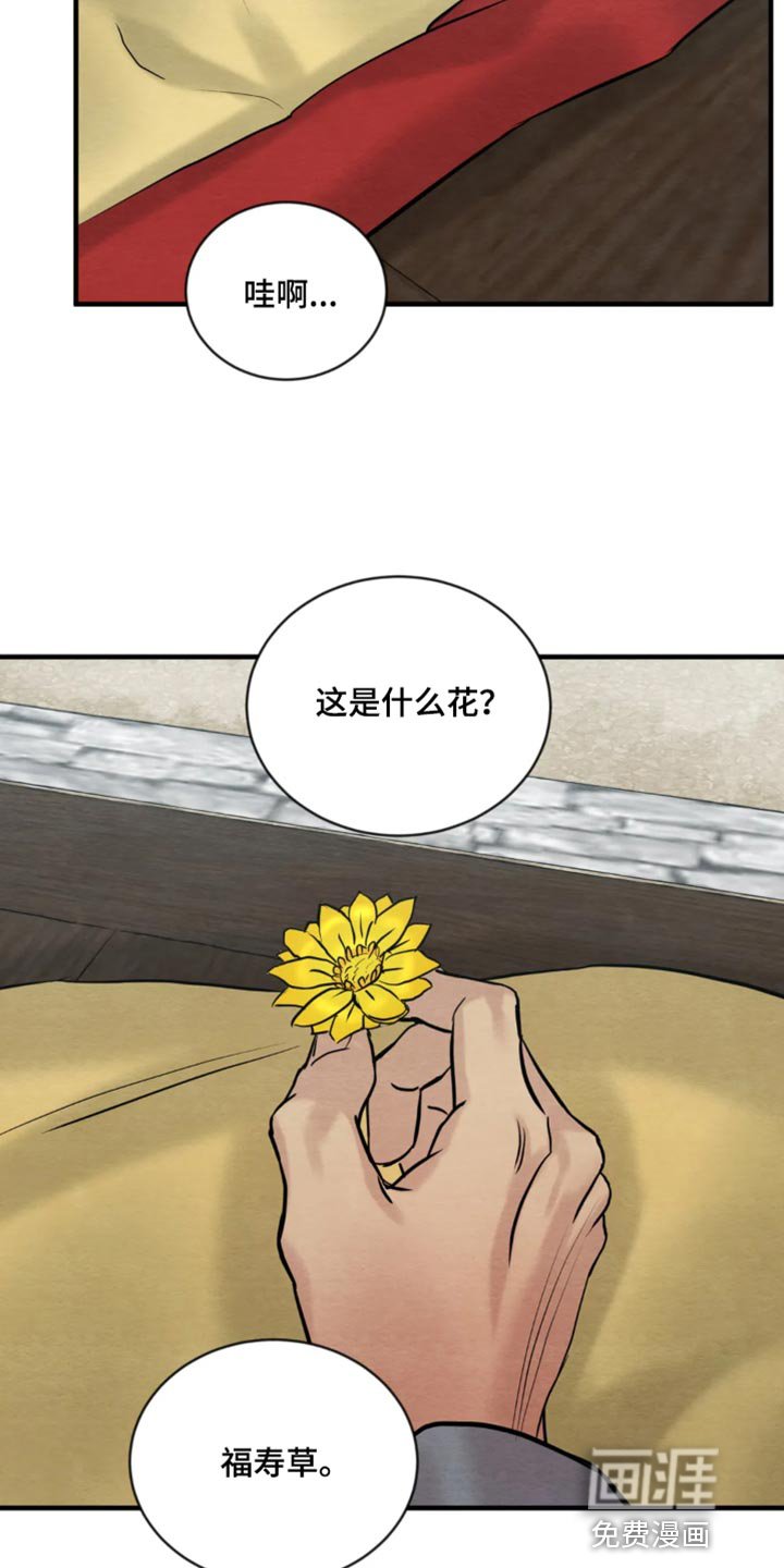 第178章：【第四季】福寿草