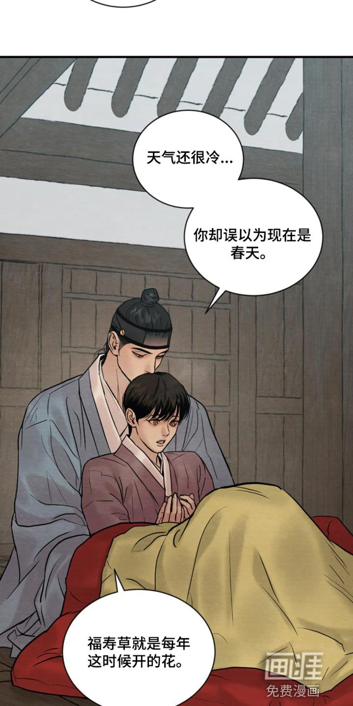 第178章：【第四季】福寿草