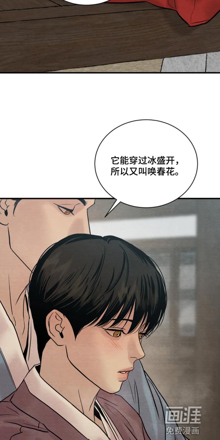 第178章：【第四季】福寿草