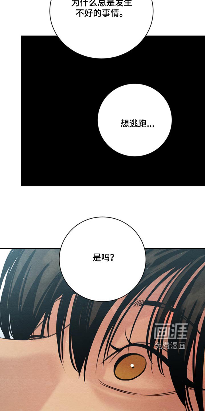 第198章：【第四季】珍贵的人
