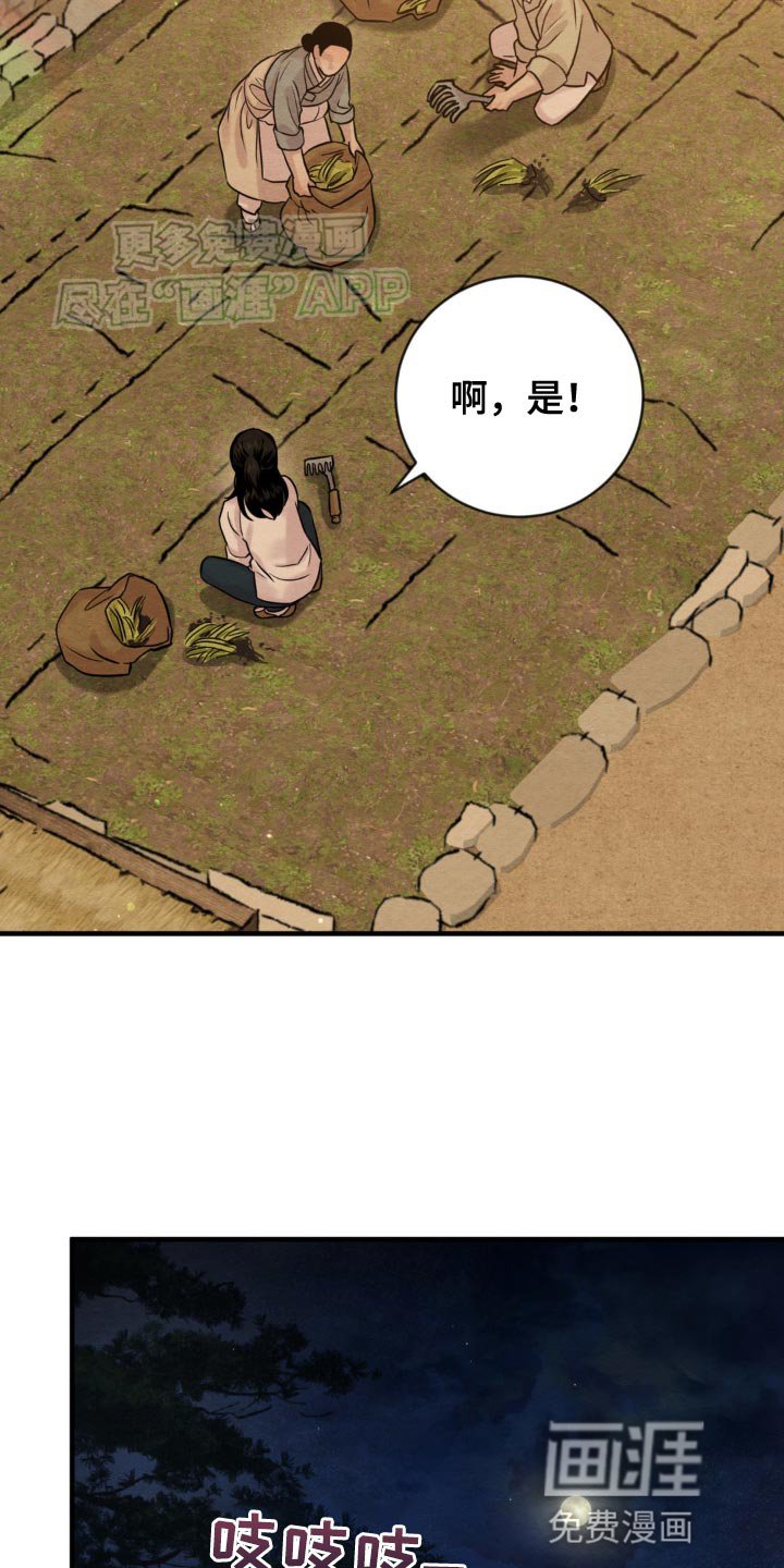 第224章：【第四季】久别重逢（完结）