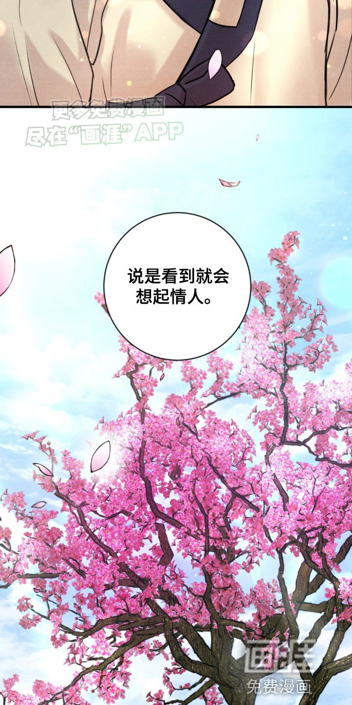 第224章：【第四季】久别重逢（完结）