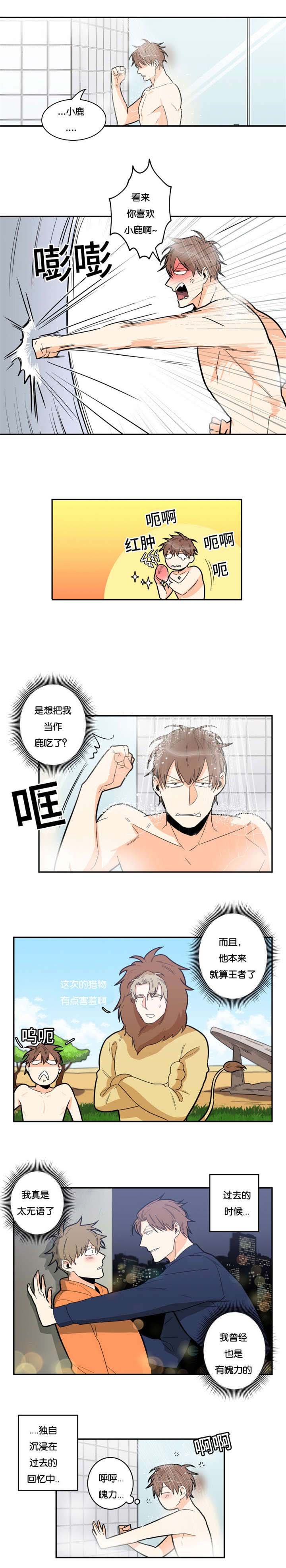 第16章：主导地位