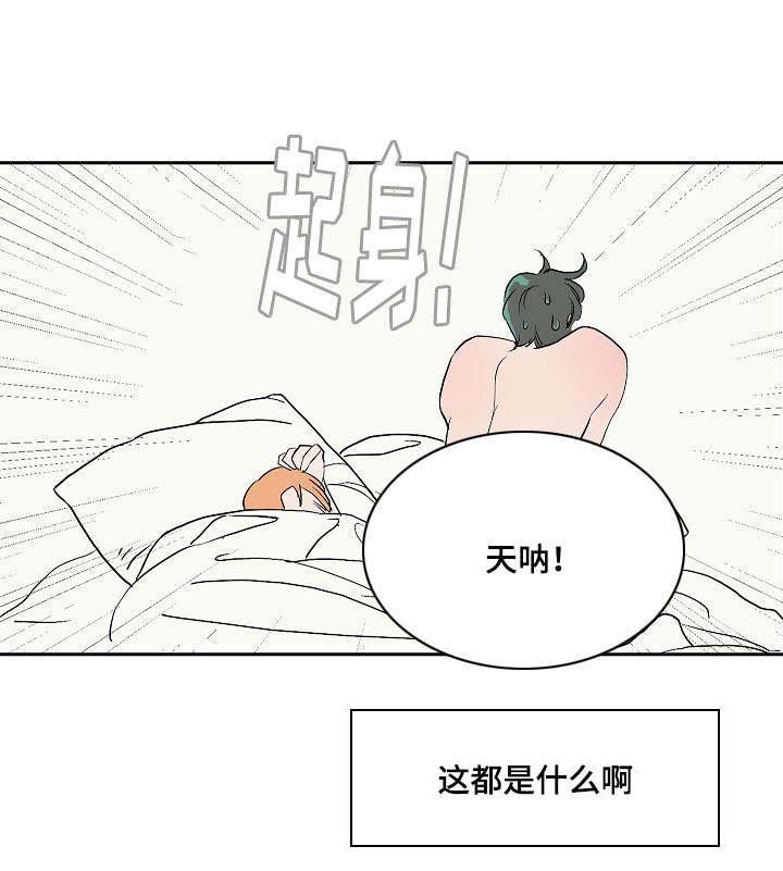 第8章：交往的可能