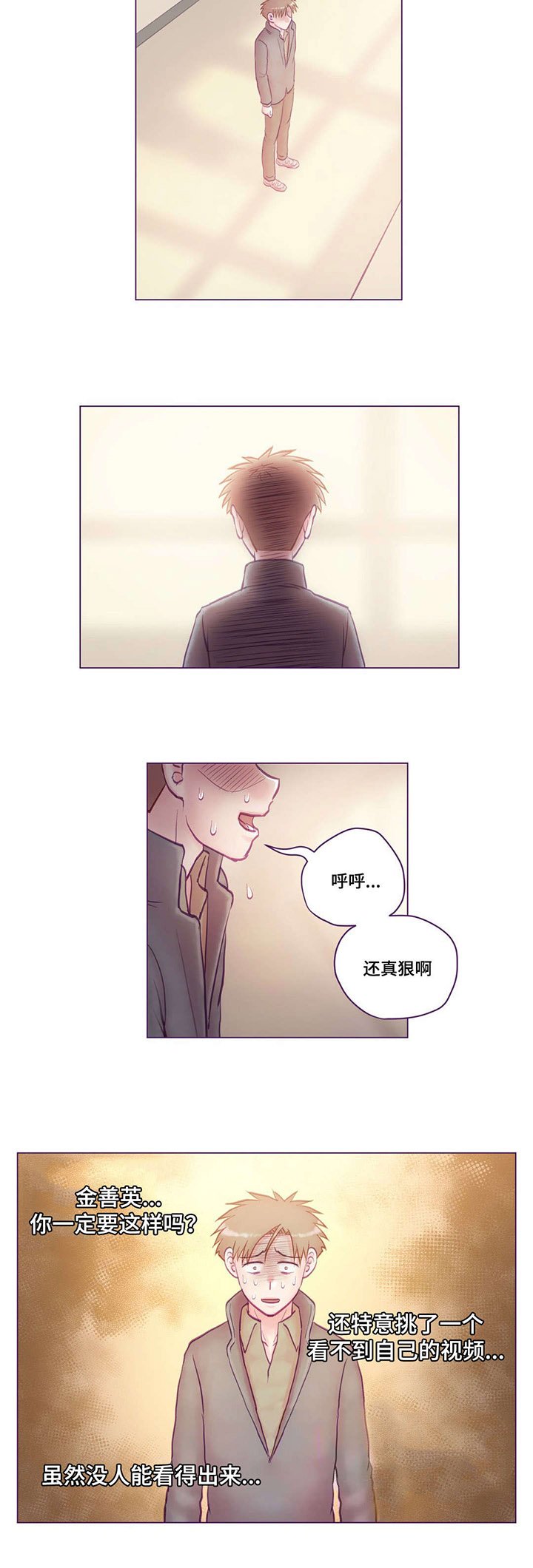 第17章：视频