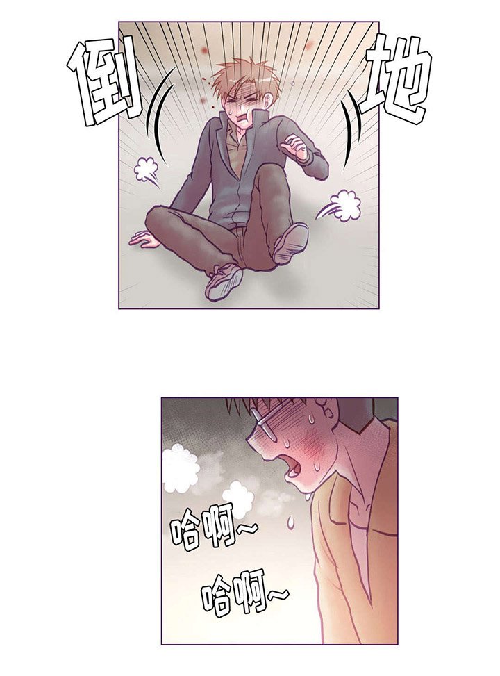 第19章：协助调查