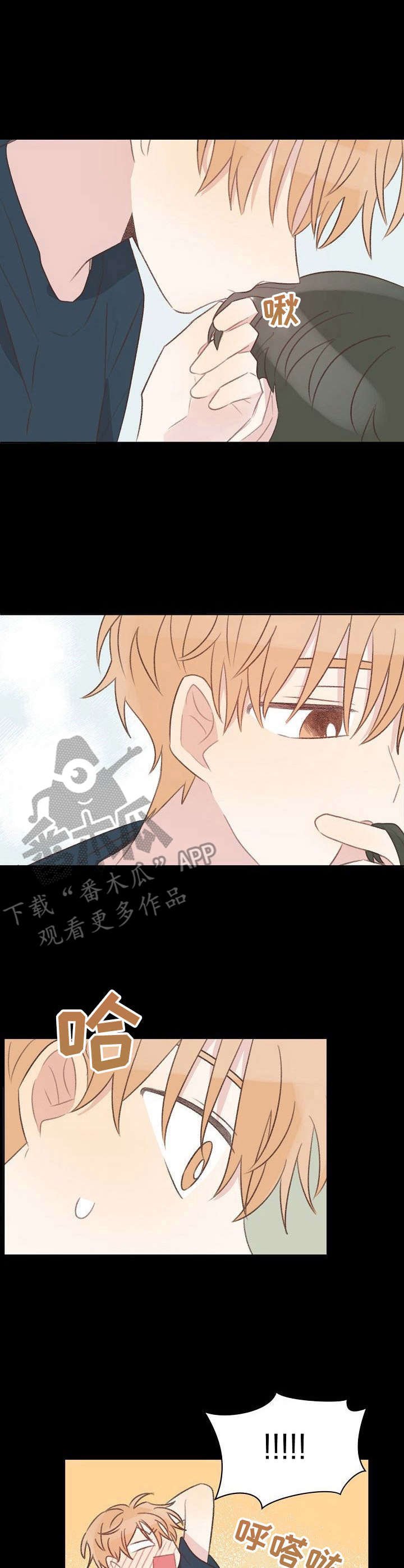 第26章：初心不变