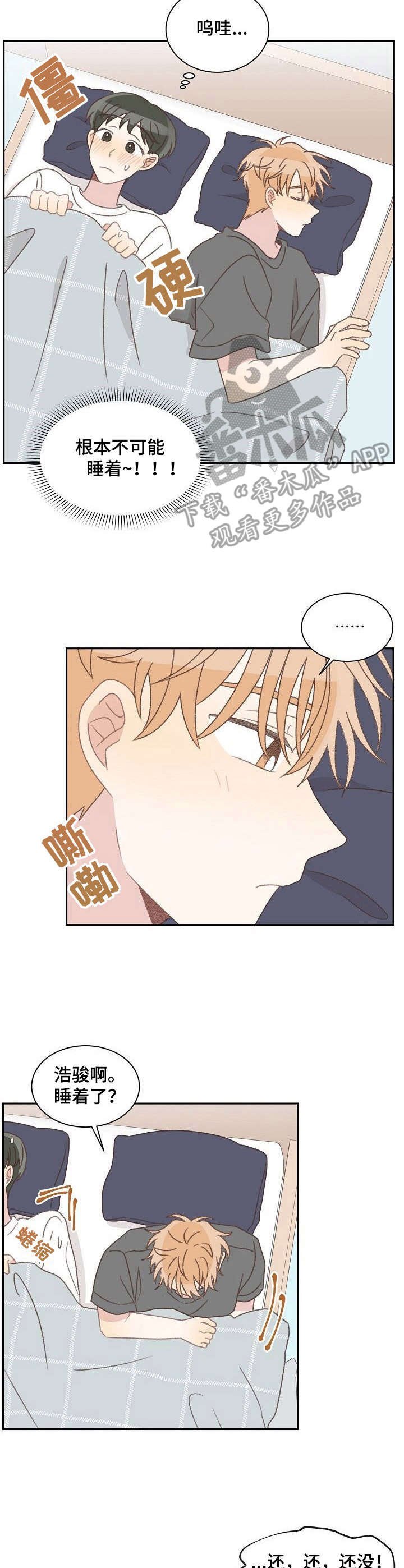 第40章：照顾（完结）