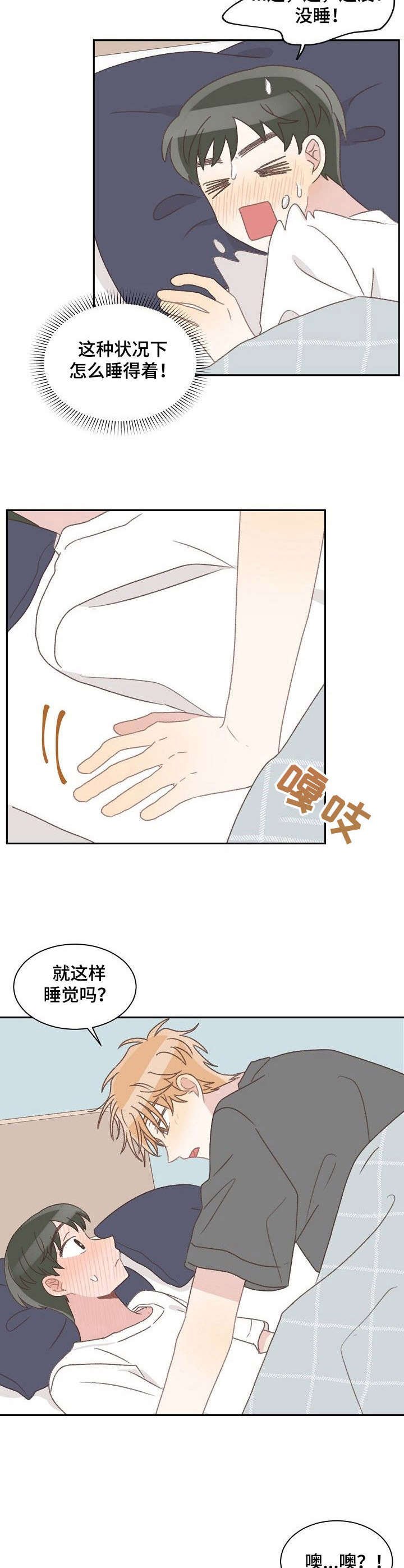第40章：照顾（完结）
