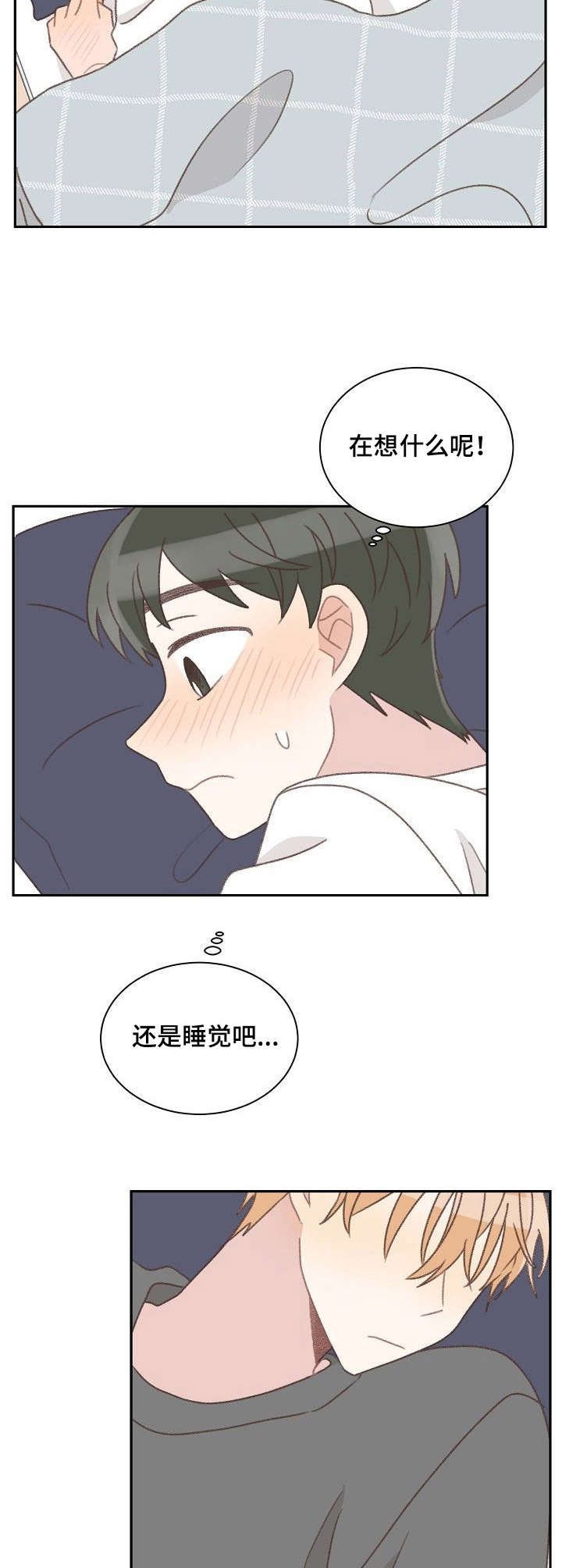 第40章：照顾（完结）