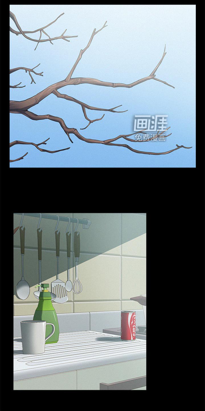 第81章：登记结婚