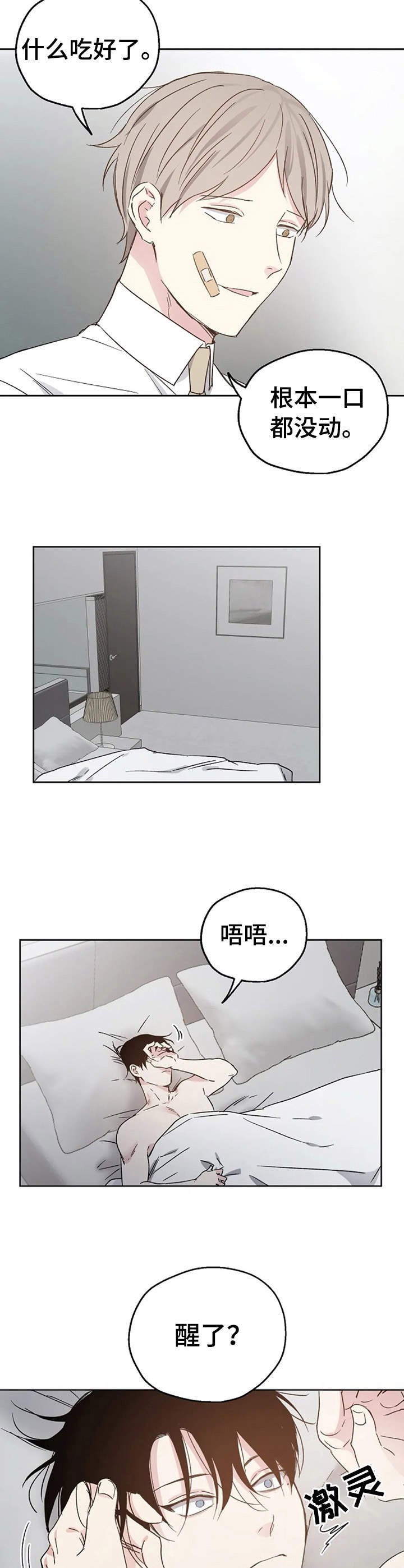 第19章：开导
