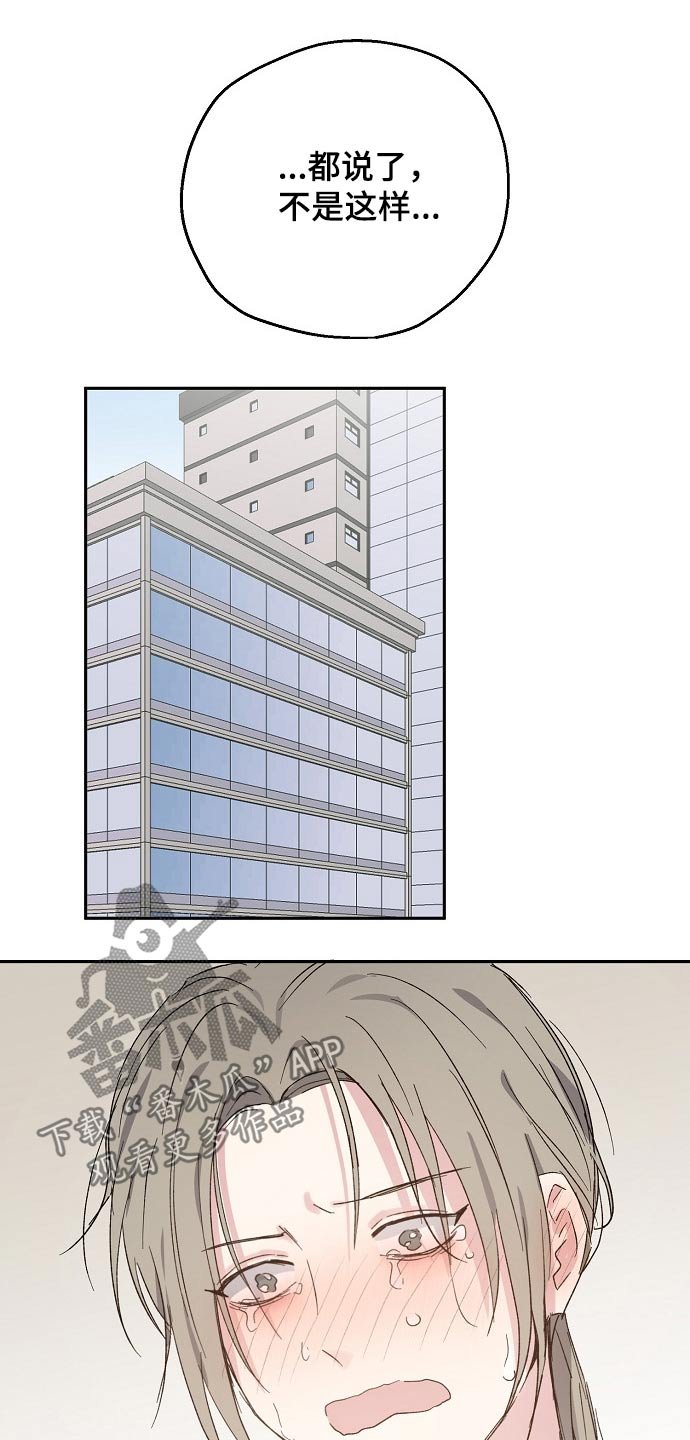 第41章：愧疚