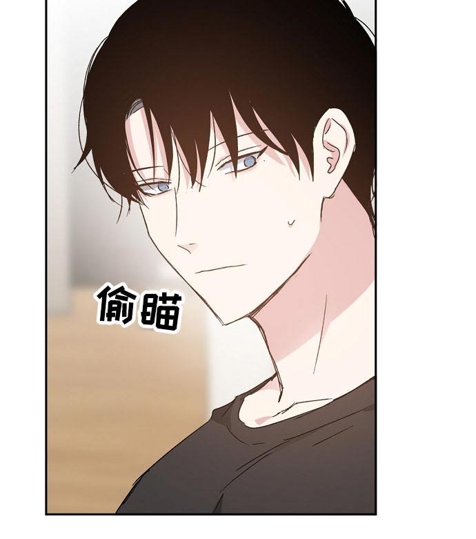 第51章：勘察