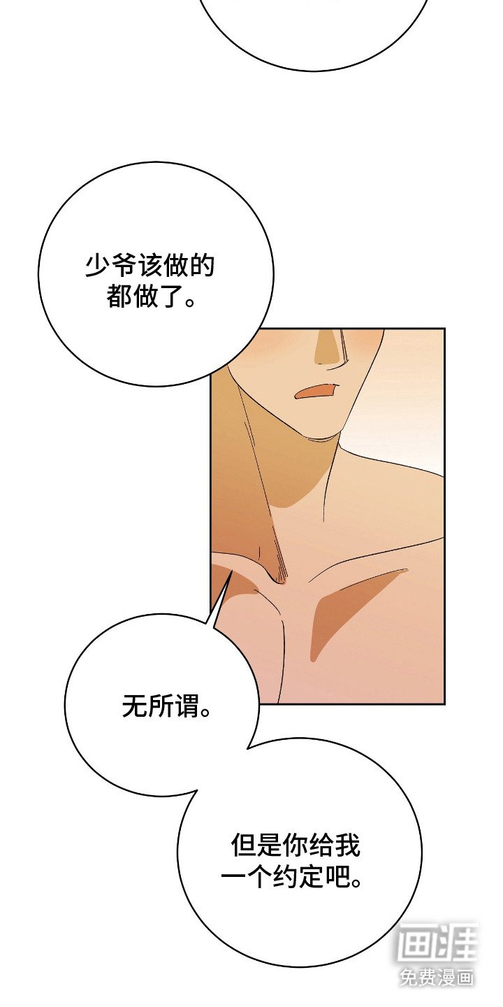 第14章：约定