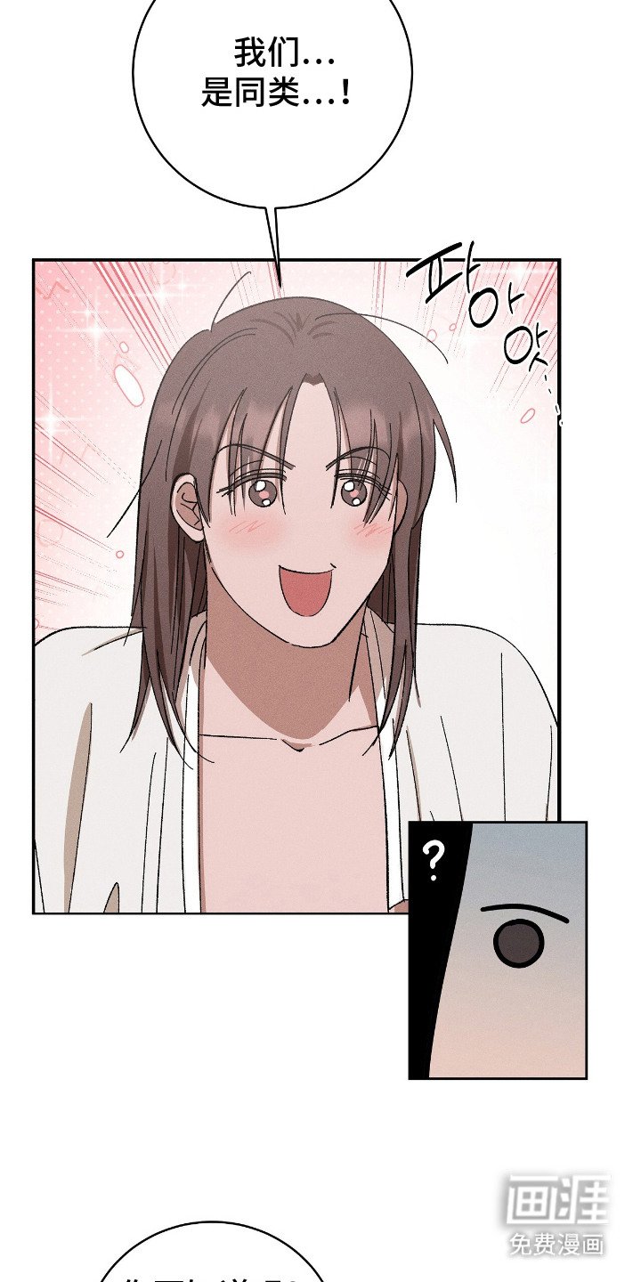 第6章：和解
