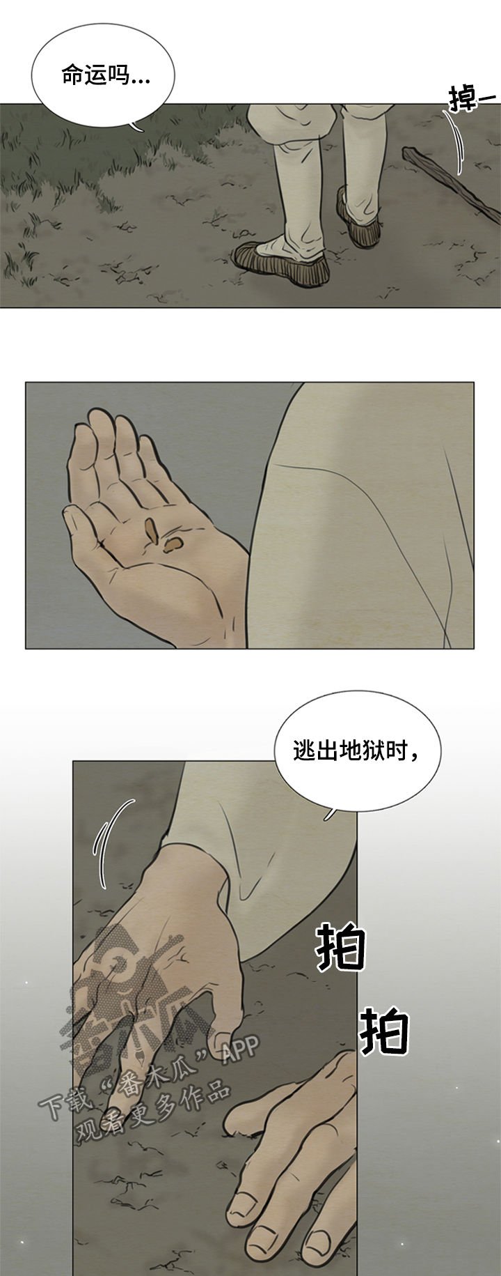第100章：【后记】命运