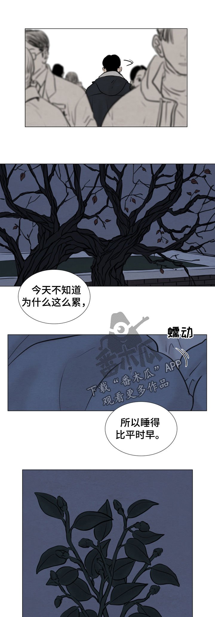 第104章：【第二季】花朵绽放