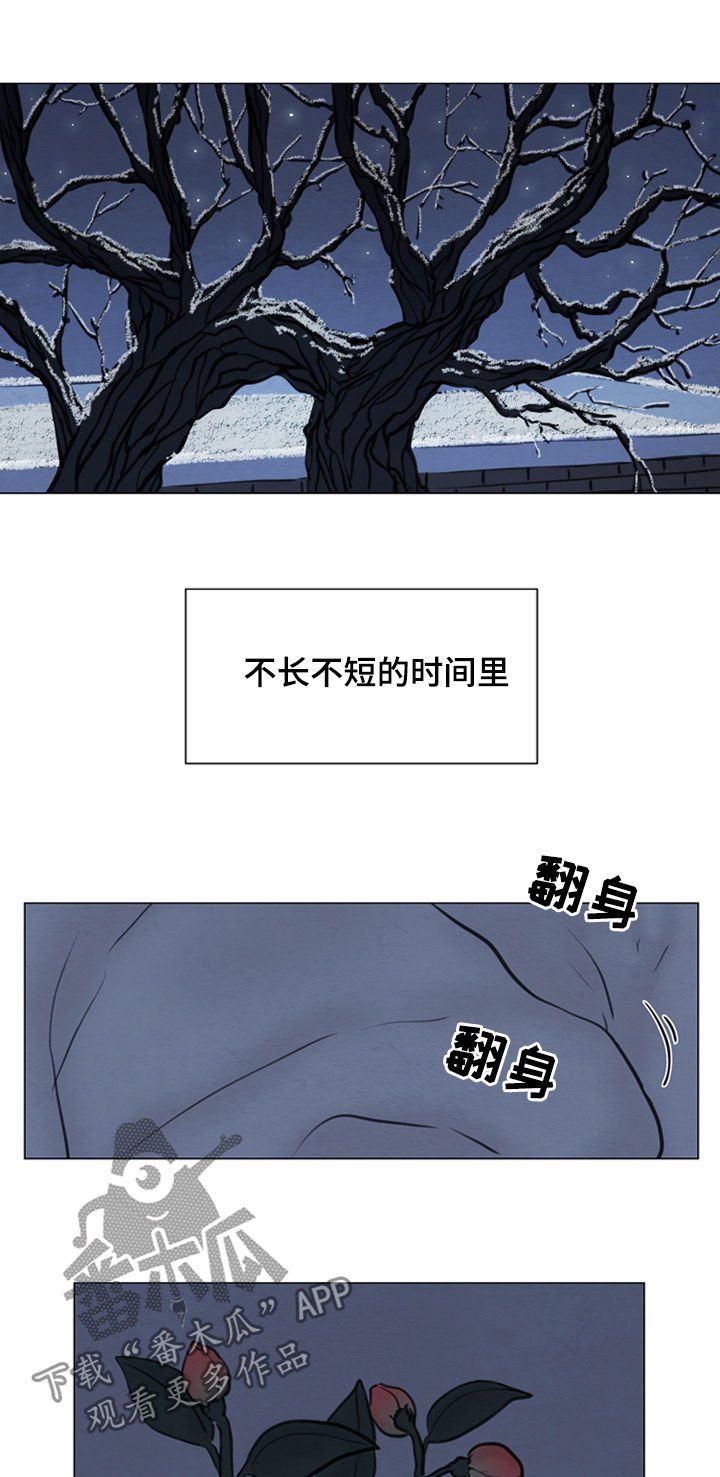 第104章：【第二季】花朵绽放